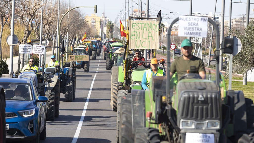 Leer la noticia